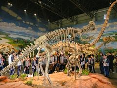 -自贡恐龙博物馆