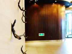 DSC01914-桔子酒店(上海西藏北路地铁站店)