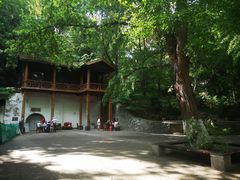 -伯先公园