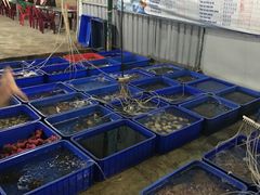 -幸福姐海鲜大排档