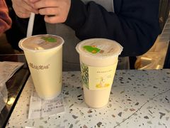 -猫的魔法密林(衣裳街店)