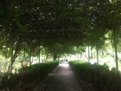 -花洲书院