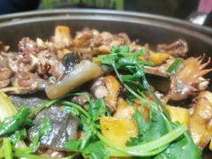 水鱼焖鸡-九记路边鸡(穗盐路店)