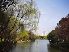 -尚贤河湿地