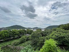 -树山生态村