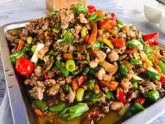 -铁山坪森林公园