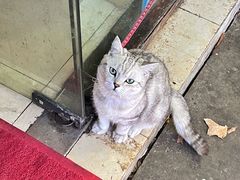 -梁掌门老梁干挑(凤凰路店)