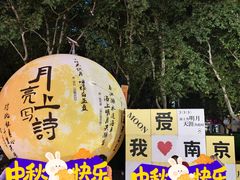 -金茂览秀城