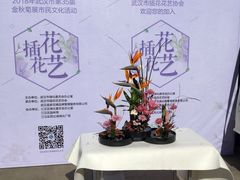 -西北湖绿化广场