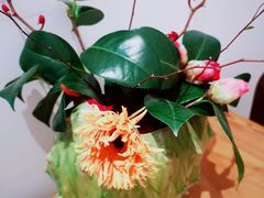 -萤火虫咖啡(后海店)