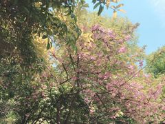 -华中师范大学-图书馆