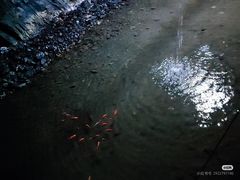 -大同煤炭博物馆