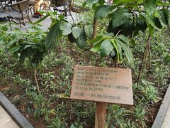 景观位-星巴克臻选(广州沙面店)