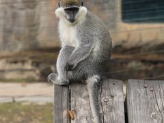 -大连森林动物园