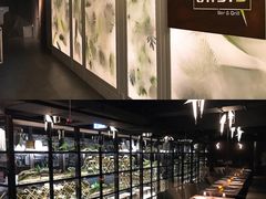 -Oasis Bar & Grill