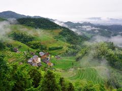 -紫鹊界梯田景区