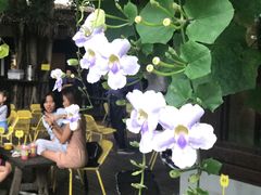 -莓园冰淇淋店