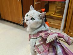 -藏猫猫咖啡主题馆(中央大道店)