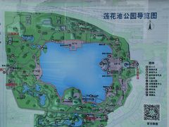 -莲花池公园