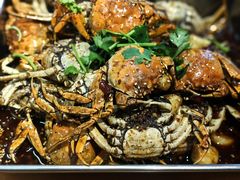 -食鸡公社辣子鸡·潍坊菜·烧烤