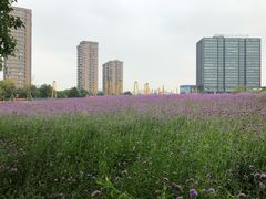 -杭州城北体育公园