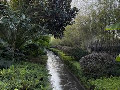 -腾冲洞山温泉村