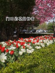 -纯粹医美