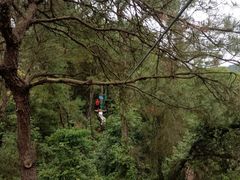 -芦仙山景区-飞越丛林探险乐园