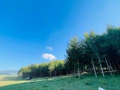 -丰宁坝上草原