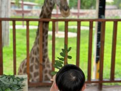-南京汤山紫清湖生态旅游温泉度假区