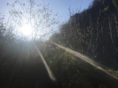 -终南山国家森林公园