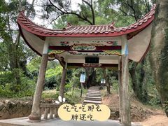 -青芝山风景名胜区