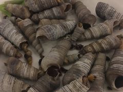 -南蚝小贝海鲜特色餐厅(南澳岛店)