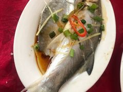-蛇口康乐快餐鱼仔档(翠苑小区店)