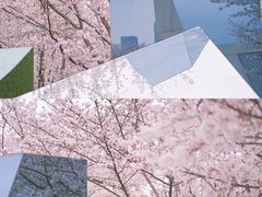 -龙美术馆(西岸馆)