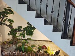 -马五面馆(郦城国际店)