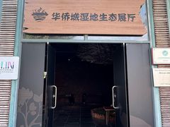 -华侨城湿地公园