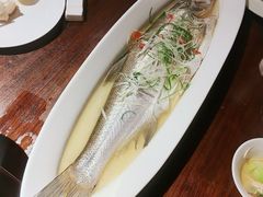 清蒸太湖白鱼-金枝玉叶上海人家食府(三里河店)