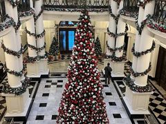 -Salon de Ville浦江汇(上海外滩华尔道夫酒店店)