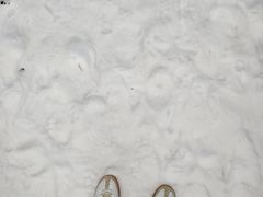 -青峰峡国家森林公园