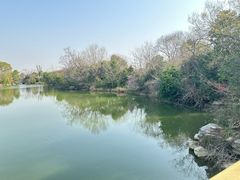-桃花岛景观公园
