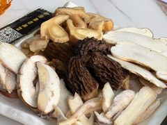-蘑统田下·野生菌火锅
