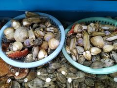 -港畔赶海蒸汽海鲜烧烤自助(仙螺岛店)