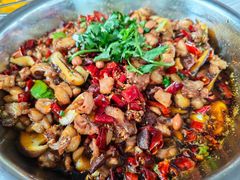 -食神又名厕所兔