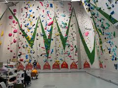 -绿壁虎攀岩基地(Tcar店)