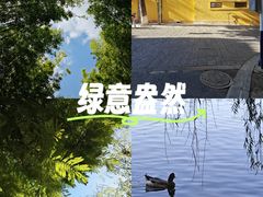 -翠湖公园