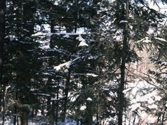 -峡谷浮石林景区