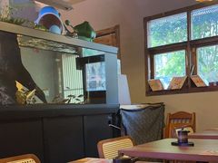 -阿泽料理
