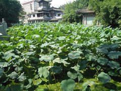 -莲湖公园