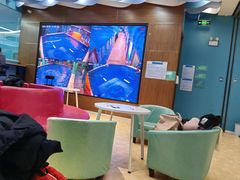 -Swim斯卫姆国际儿童游泳中心(红博中央公园店)